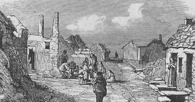 A fost descoperită ciuperca vinovată pentru Marea Foamete Irlandeză