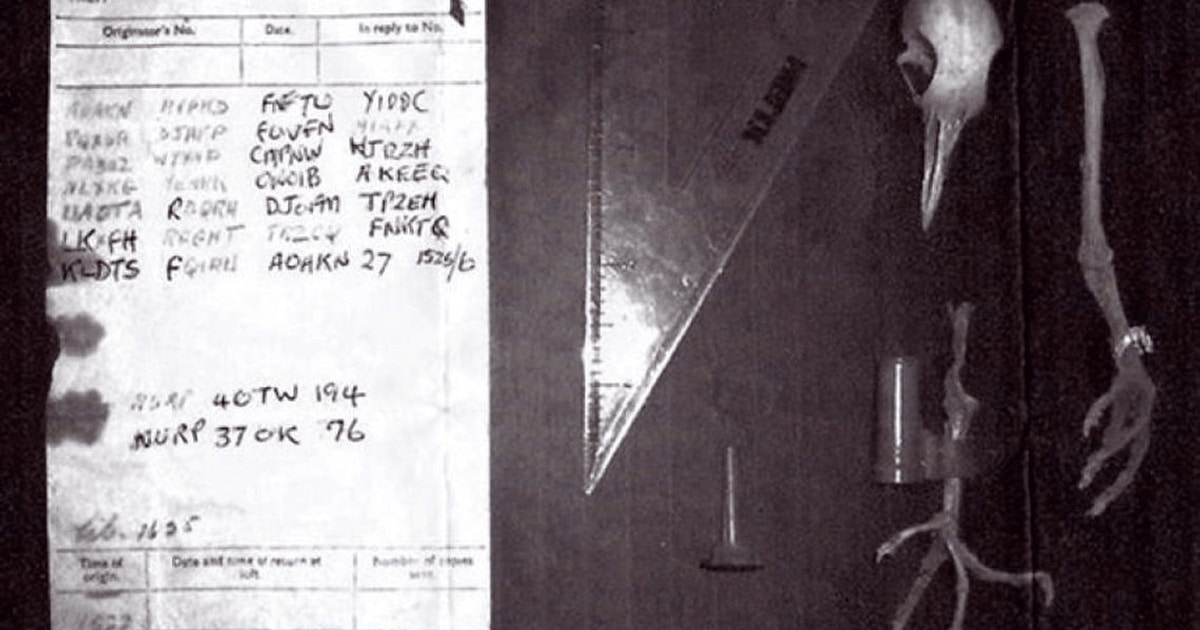 mesaje codate și porumbei călători