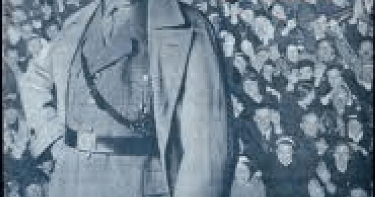 Referendumul şi dictatorii