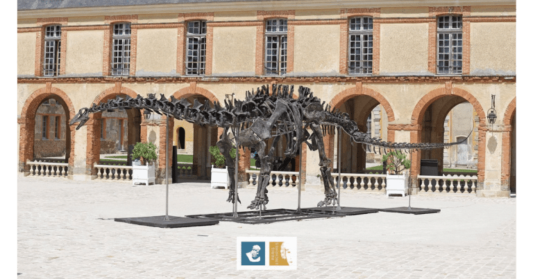 Un schelet de dinozaur lung de 22 de metri, vândut la licitație în Franța