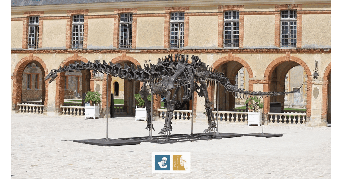 Un schelet de dinozaur lung de 22 de metri, vândut la licitație în Franța