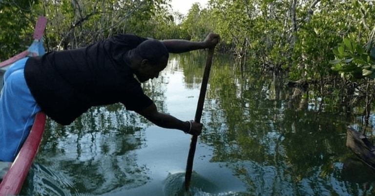 Madagascarul a fost colonizat de 30 de femei ce au călătorit 5.600 km!