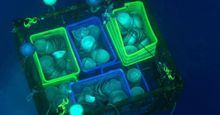 “Comoara din Cirebon”, VECHE DE PESTE 1.000 DE ANI, a fost scoasă la vânzare