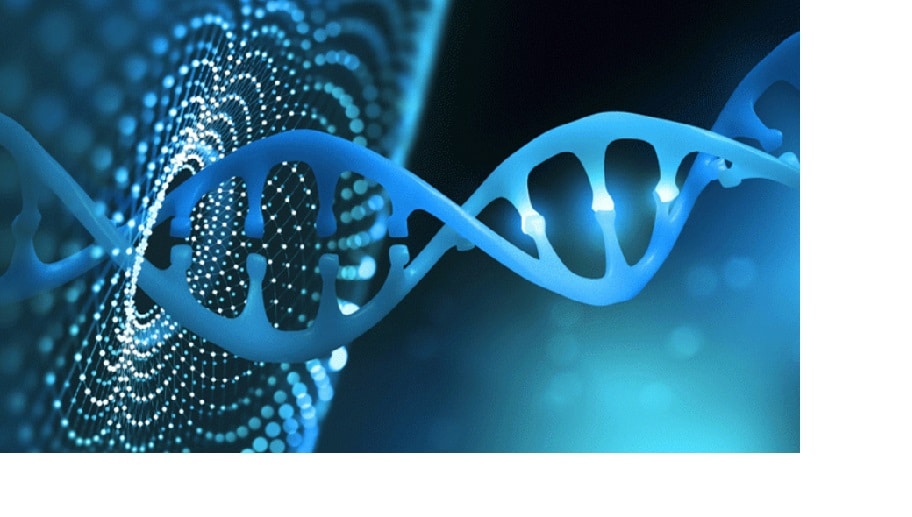 determinarea genomului de referință pentru populația României
