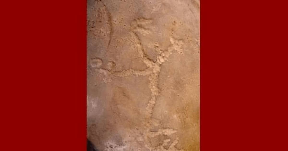 Cea mai veche operă de artă rupestră din Americi este o imagine cu semnificaţii sexuale?