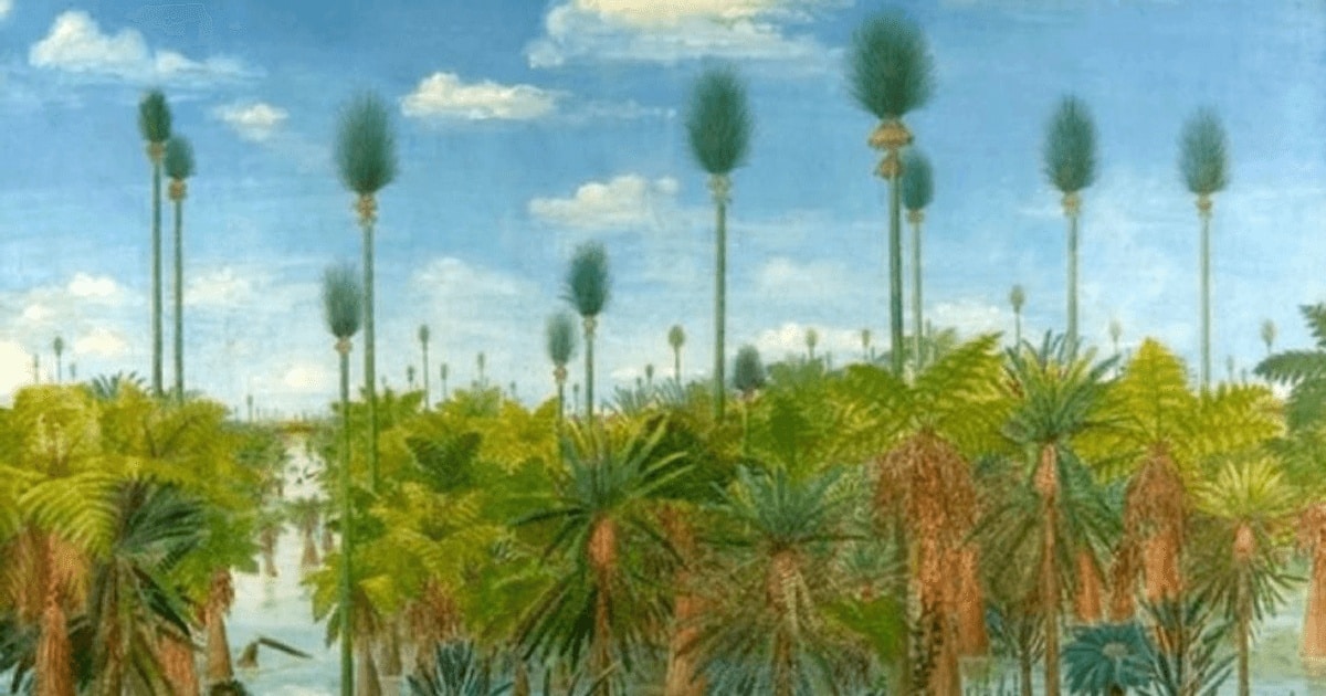 A fost descoperită cea mai veche pădure fosilizată