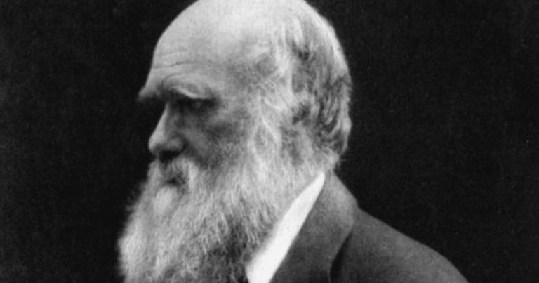 viaţa a apărut într-o baltă caldă