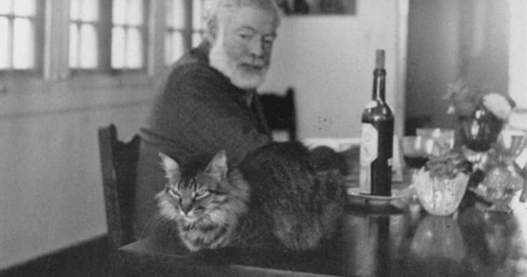 10 scriitori sinucigaşi…