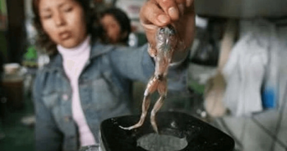 7 leacuri vechi şi bizare…