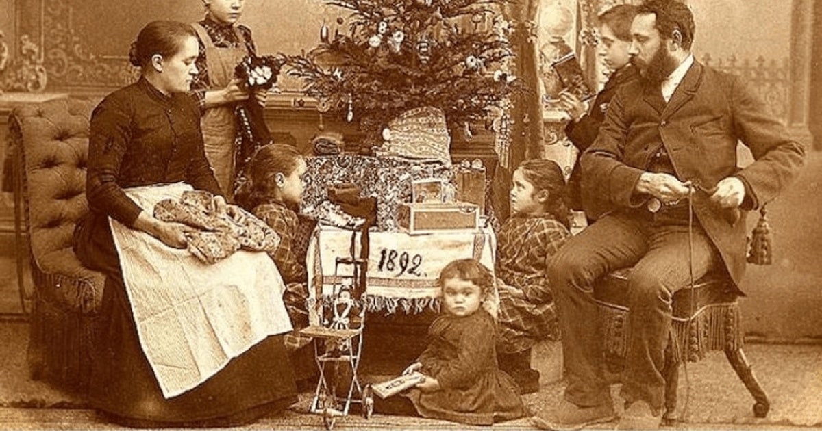 Bradul de Crăciun: știați că….?!