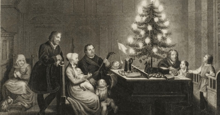 Povestea bradului de Crăciun