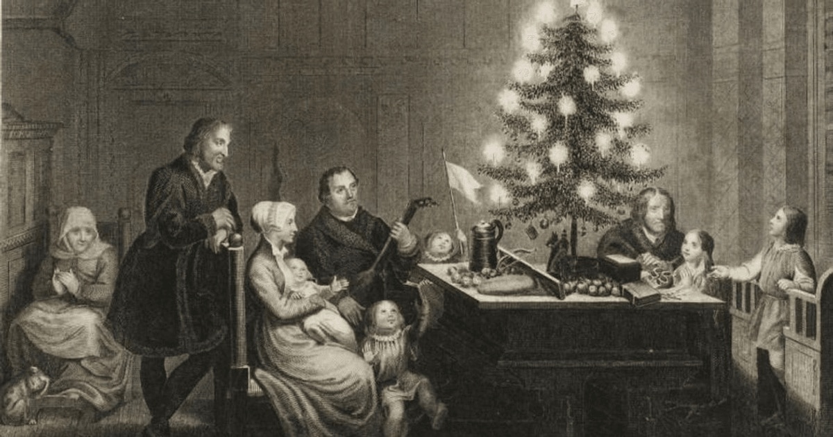 Povestea bradului de Crăciun