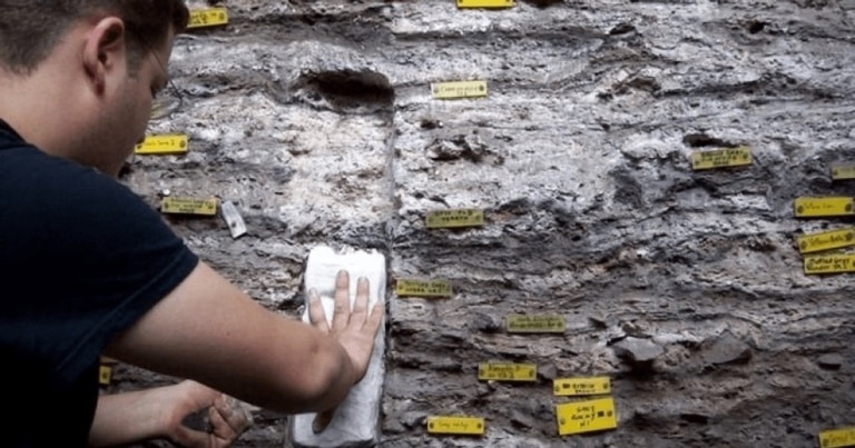 A fost descoperită cea mai veche saltea din lume