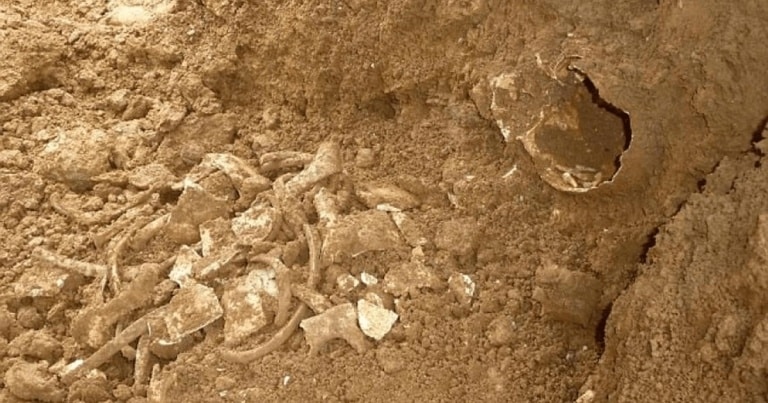 Un mormânt saxon, descoperit în curtea unei case