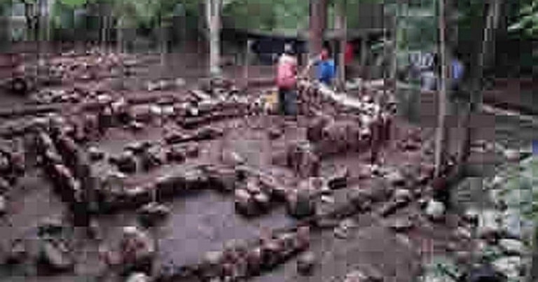 A fost descoperită o bucătărie a regilor maiaşi, datând de acum un mileniu