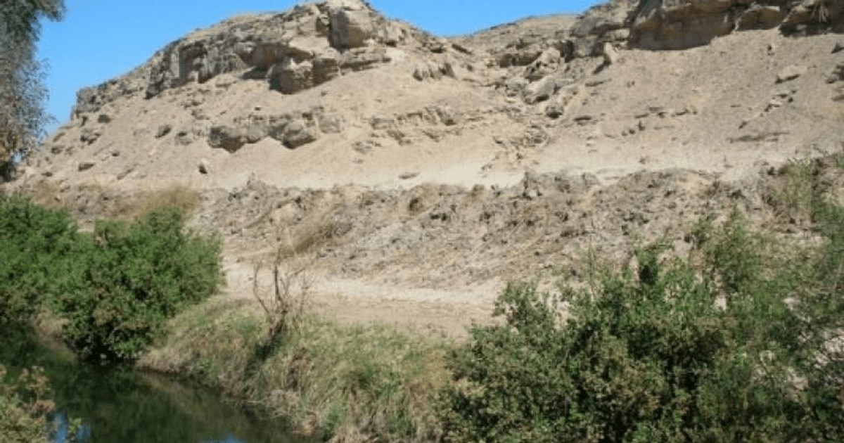 Cele mai vechi reprezentari artistice pe rocã din Egipt