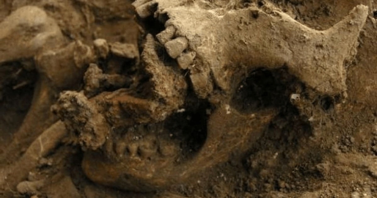 scheletul unei “vrăjitoare” a fost găsit cu şapte piroane înfipte în maxilar