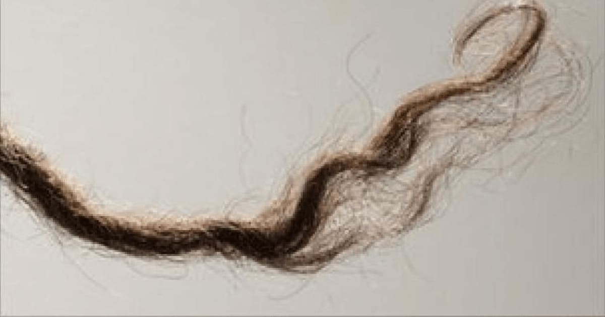 O şuviţă de păr poate schimba teoria cu privire la migraţia primilor oameni