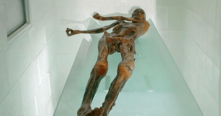 13 lucruri pe care nu le ştiaţi despre Ötzi, Omul Gheţurilor