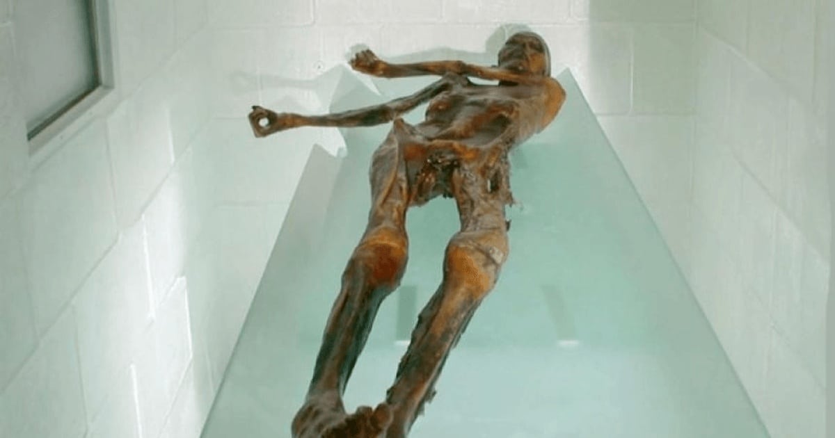 13 lucruri pe care nu le ştiaţi despre Ötzi, Omul Gheţurilor