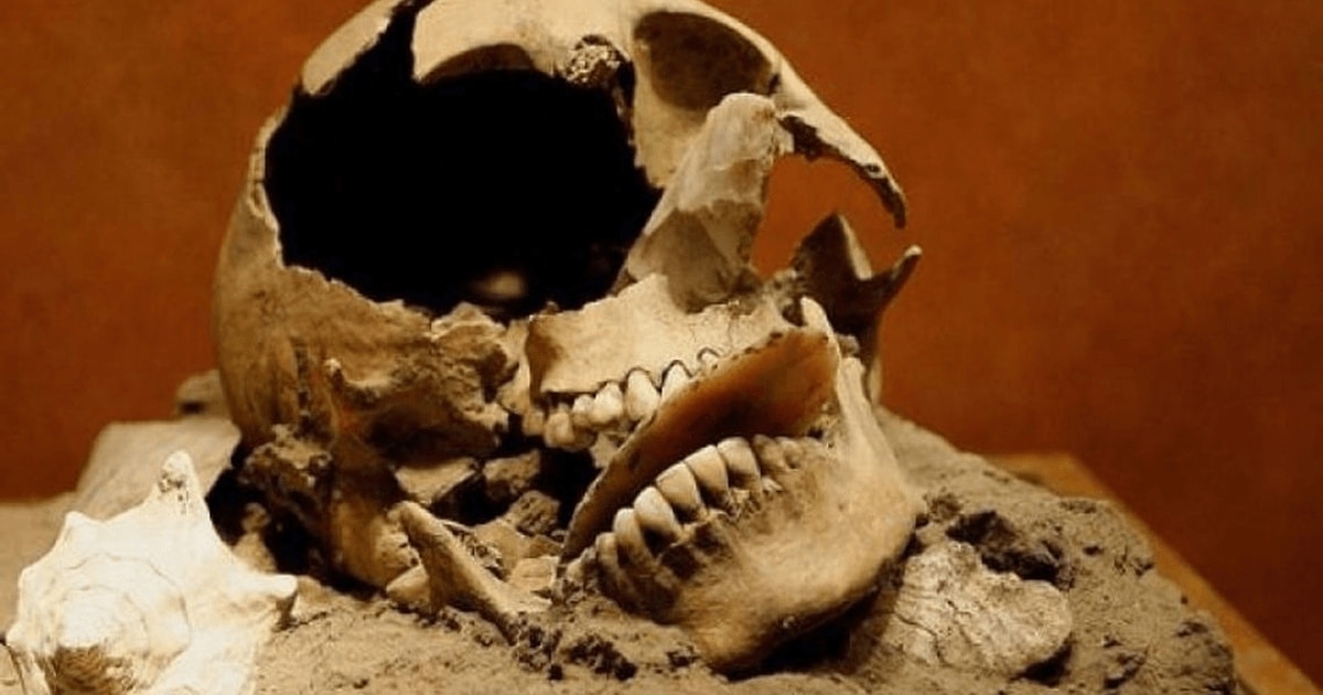 Un mormânt vechi de 1400 de ani a fost descoperit accidental în Mexic