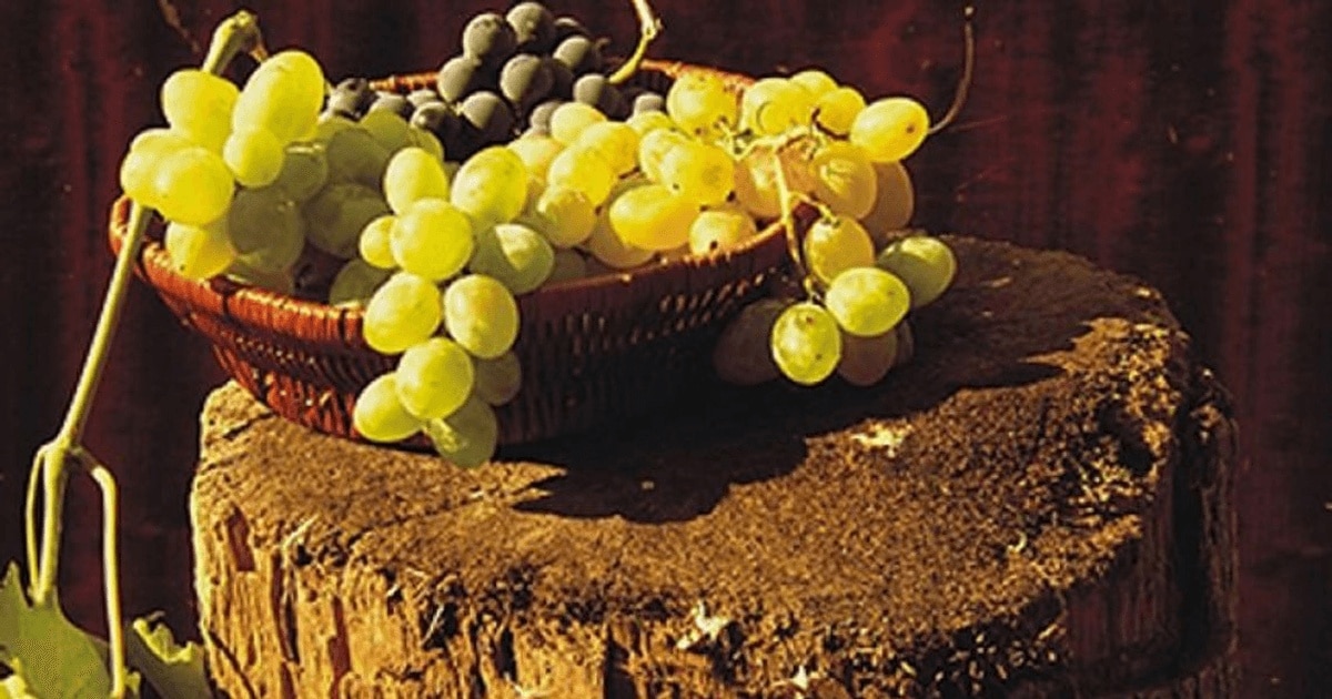 Armenii făceau vin înainte să descopere fierul