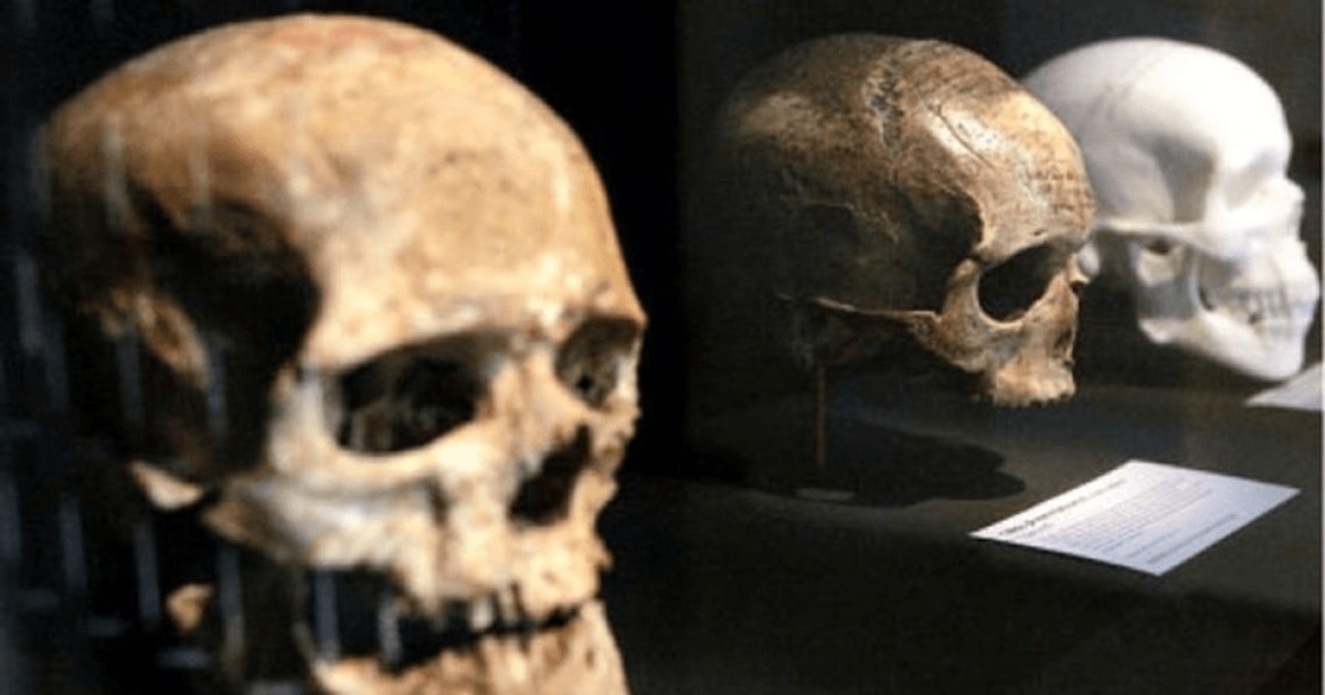 Creierul uman, din ce în ce mai mic