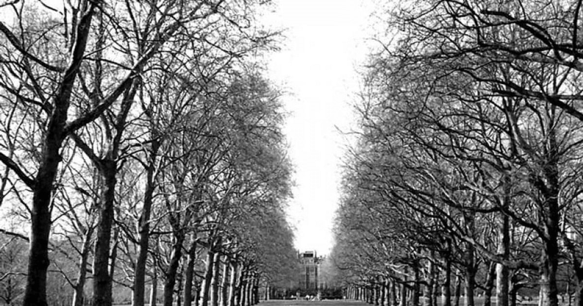 11 aprilie 1954 – Cea mai plictisitoare zi din secolul XX