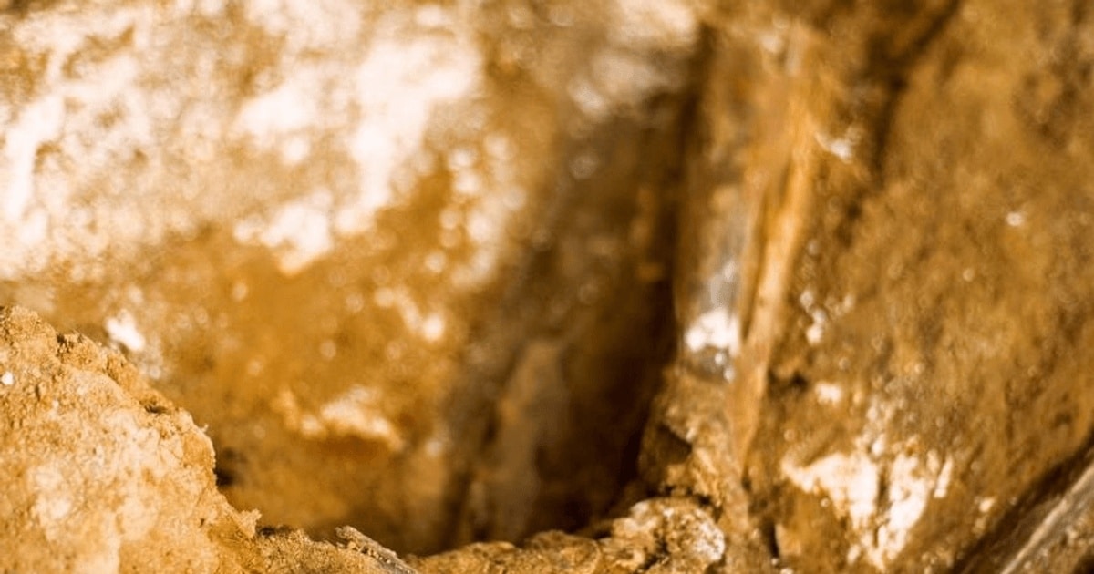 Victimele lui Franco, la groapa comună