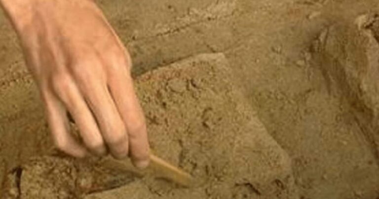 Râpa de la Piscul Jidovilor, istorie de 1.700.000 de ani