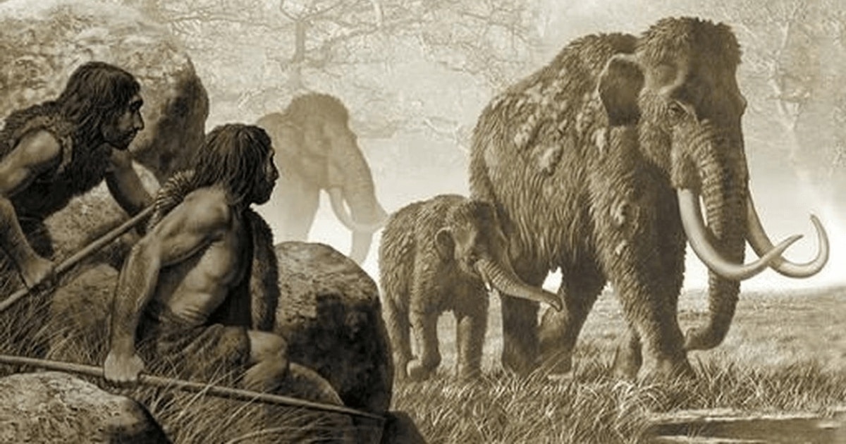 Neanderthalienii şi-au creat singuri unelte, fără a intra în contact cu Homo sapiens