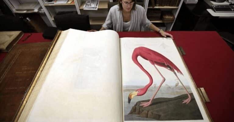 Cea mai scumpă carte din istorie, scoasă la licitaţie