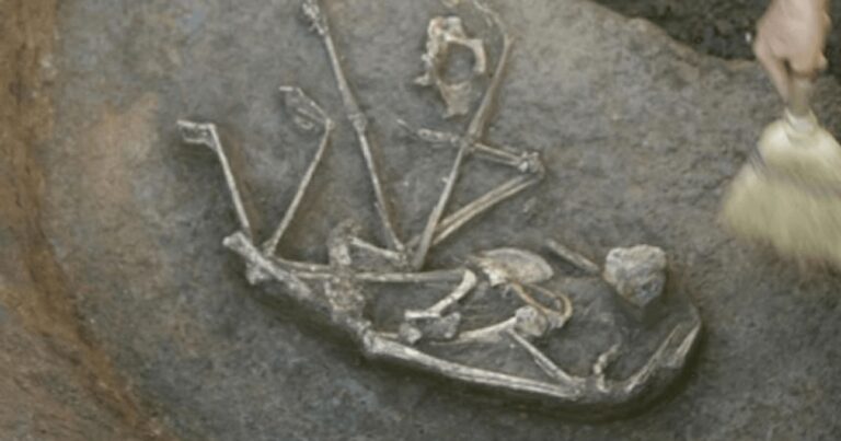 Mormânt din Epoca Bronzului descoperit în curtea unei case