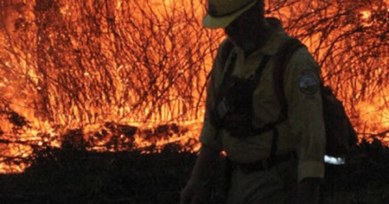 Canicula din Rusia, cea mai gravă din ultimii “1.000 de ani”