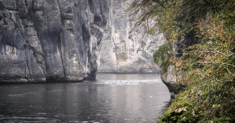 Comori descoperite în Transilvania, dispărute în apele Dunării, în drum spre Viena