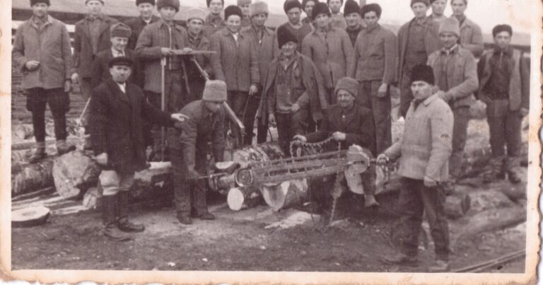 Prelucrarea lemnului, meșteșug și industrie