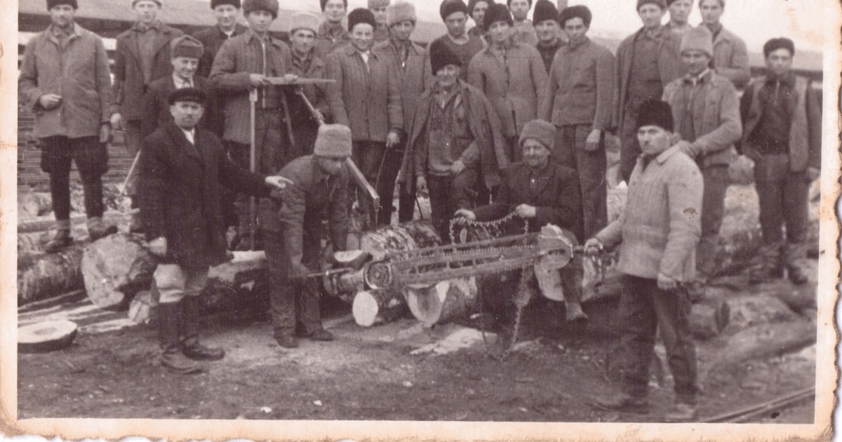 Prelucrarea lemnului, meșteșug și industrie