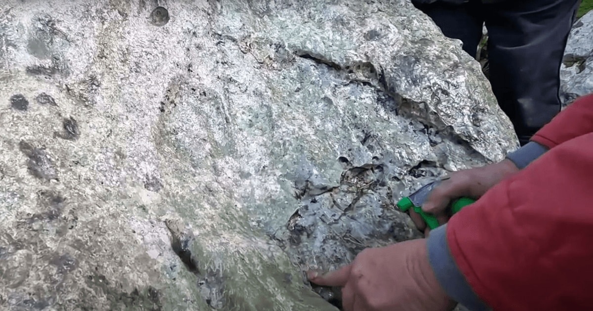 Urme de dinozaur descoperite în Sardinia / VIDEO