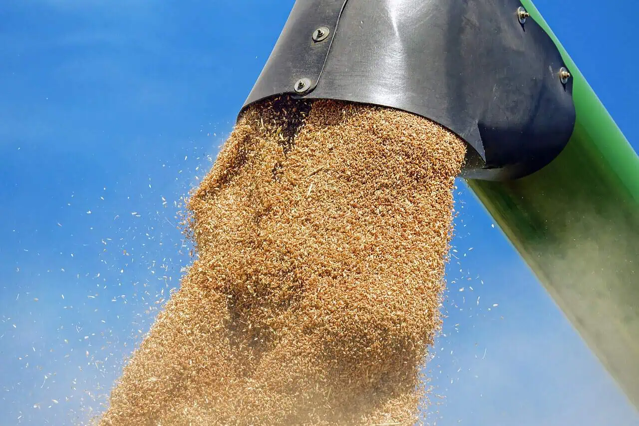 Agricultura va avea un an record în 2025: Producția agricolă ar putea salva PIB-ul anul acesta