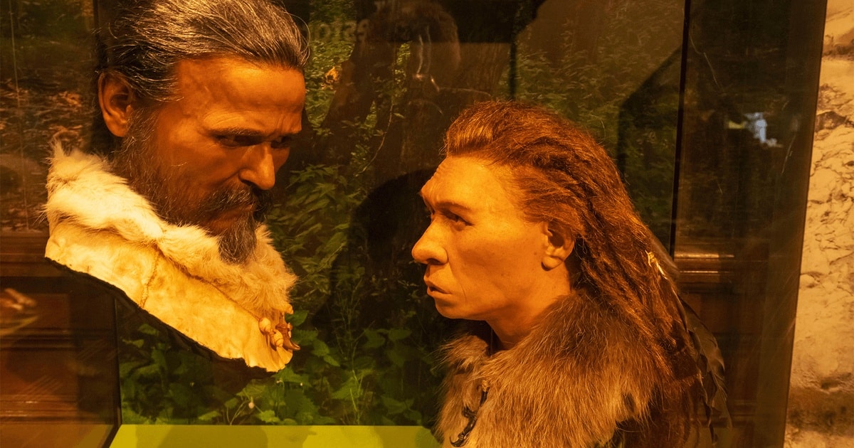 Împerecherile dintre Homo Sapiens și Neanderthalieni, cauza unei rare afecțiuni a creierului și craniului