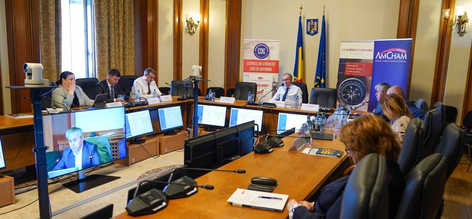 Cum irigăm financiar economia privată: Bani se găsesc, e nevoie de infrastructuri care să-i organizeze și să-i dirijeze către dezvoltarea inteligentă