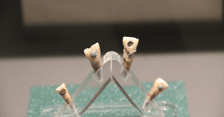 O „bijuterie dentară” din jad verde, descoperită la un copil mayaș de 7 ani