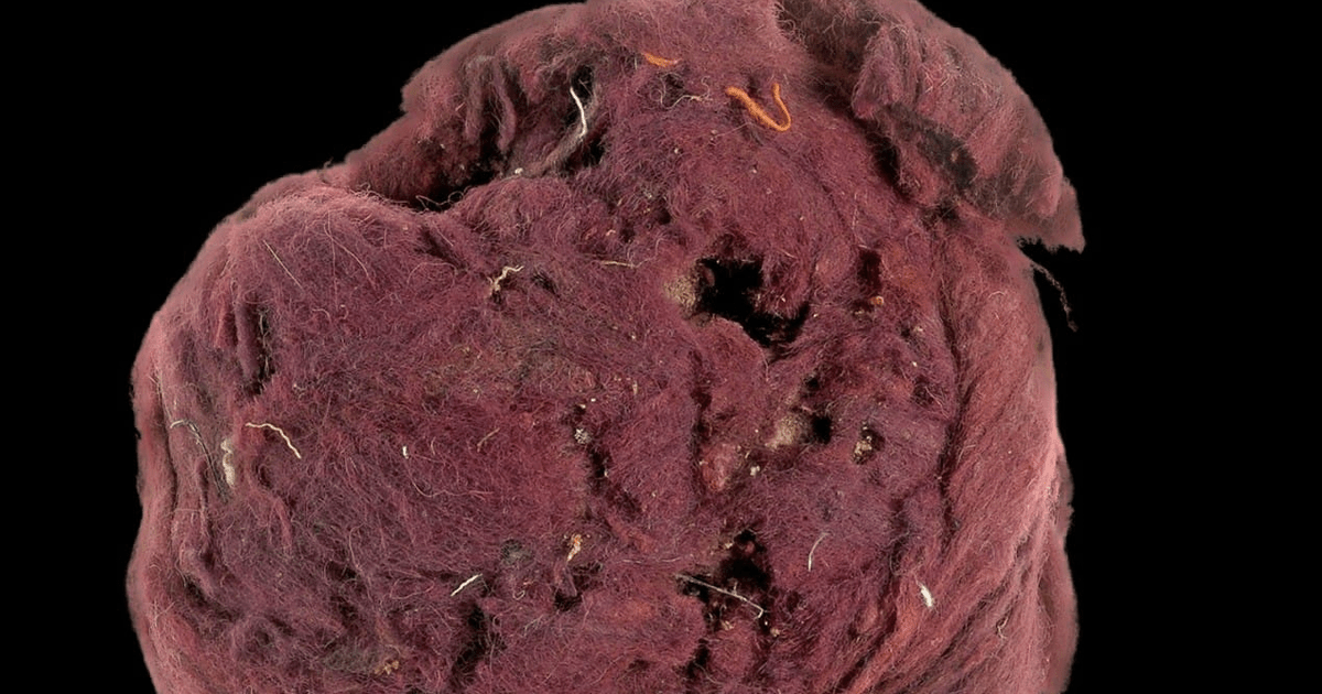 Fake-urile se practicau și în Imperiul Roman – Cum se fabricau falsele haine purpurii ale împăraților?