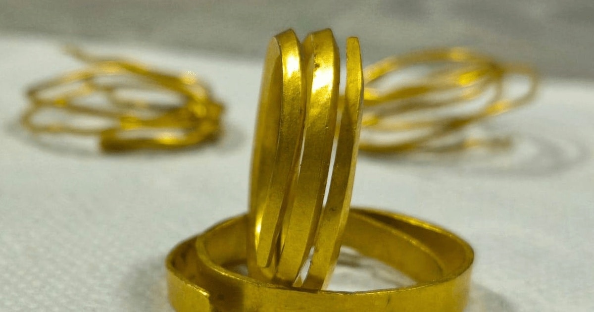 Patru brățări din aur, cu o vechime de 3.300 de ani, descoperite într-o pădure din Gorj