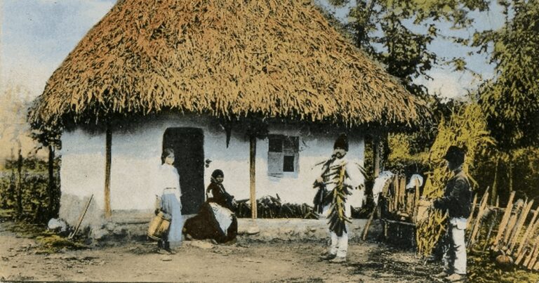 Alimentația țăranilor din județul Brăila, la sfârșitul secolului al XIX-lea