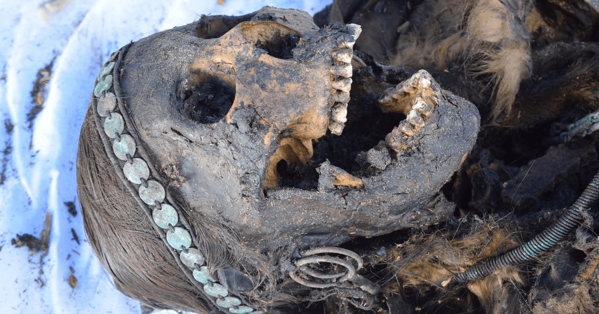 Secretul ultimei șamane din Siberia, descoperit de un studiu ADN