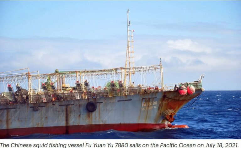 Video / „Paria mărilor și oceanelor”. Cum au ajuns chinezii să domine pescuitul ilegal global și să golească apele Americii de Sud