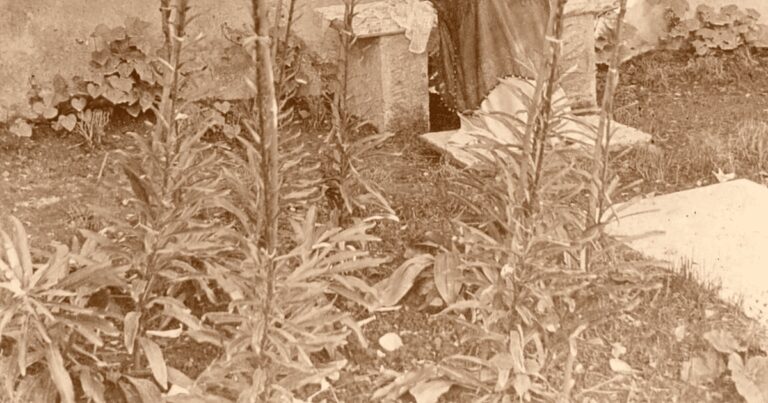 Ultima aventură politică a Marthei Bibescu în România