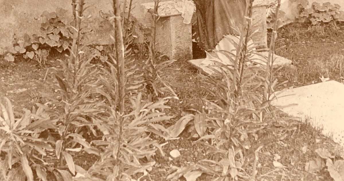 Ultima aventură politică a Marthei Bibescu în România