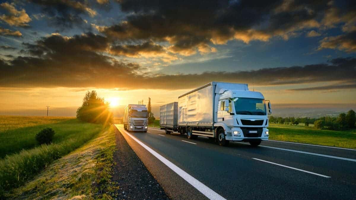 Analiză FMI: Piața Unică europeană – fragmentată de regulile naționale de etichetare, transport și achiziții, ceea ce scade productivitatea companiilor față de cele americane